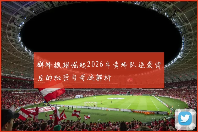 群蜂振翅崛起2026年黄蜂队逆袭背后的秘密与奇迹解析